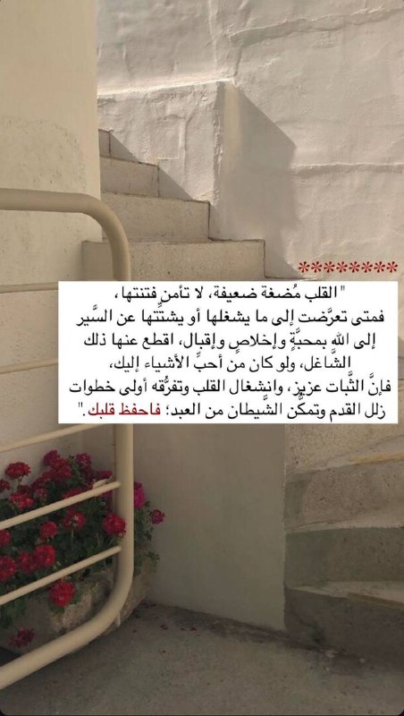[#اذكار\_فوائد](?q=%23%D8%A7%D8%B0%D9%83%D8%A7%D8%B1_%D9%81%D9%88%D8%A7%D8%A6%D8%AF)