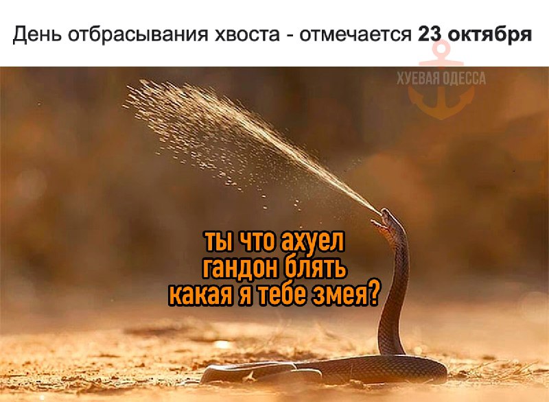 ***🐍***Сегодня отмечается всемирный **день отбрасывания хвоста