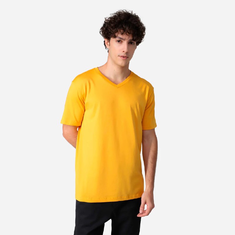 **Camiseta Algodão Premium Gola V Masculina …