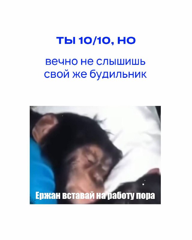 Цацурина