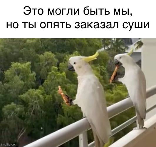 ***🦜***