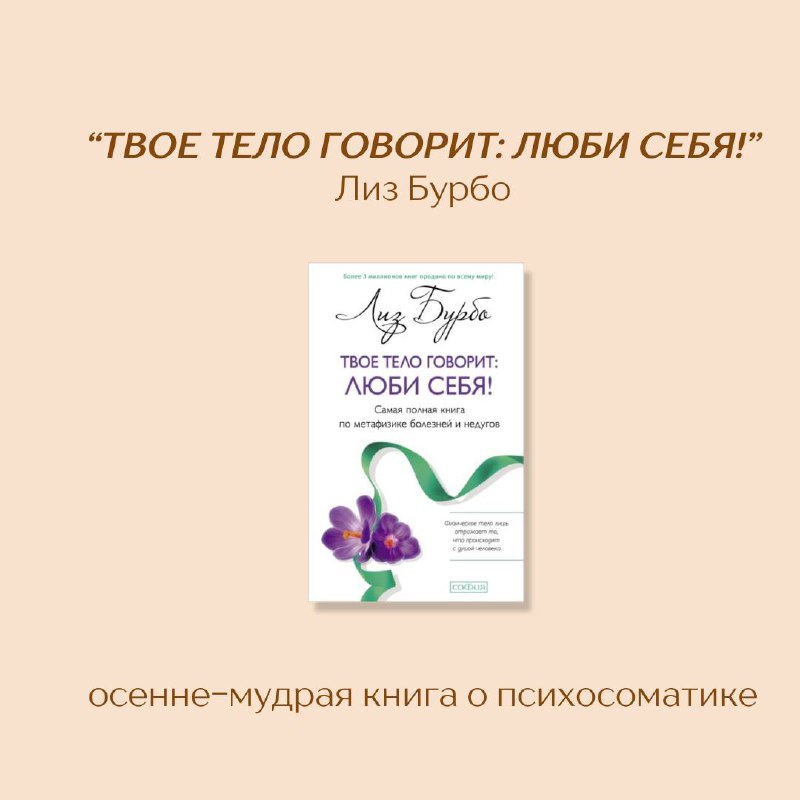 oh my read говорит