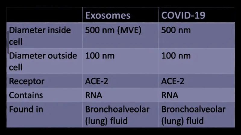 Exossomos COVID-19 500 nm (MVE) 500 …