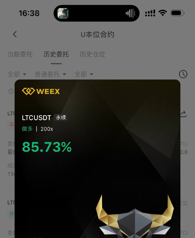 枫的发财日记