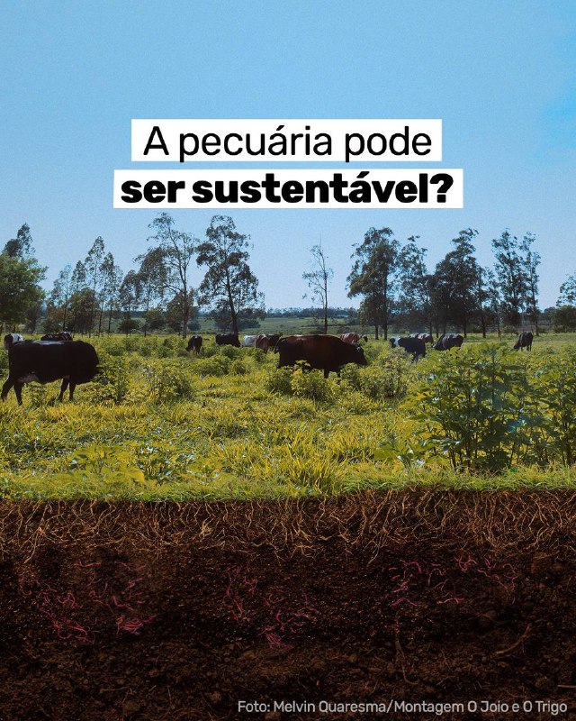 ***🌱*** A pecuária regenerativa tem ganhado …