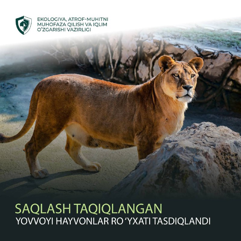 ***🔰*****Saqlash taqiqlangan yovvoyi hayvonlar roʻyxati tasdiqlandi**