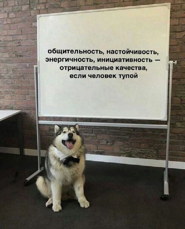 С.Е.