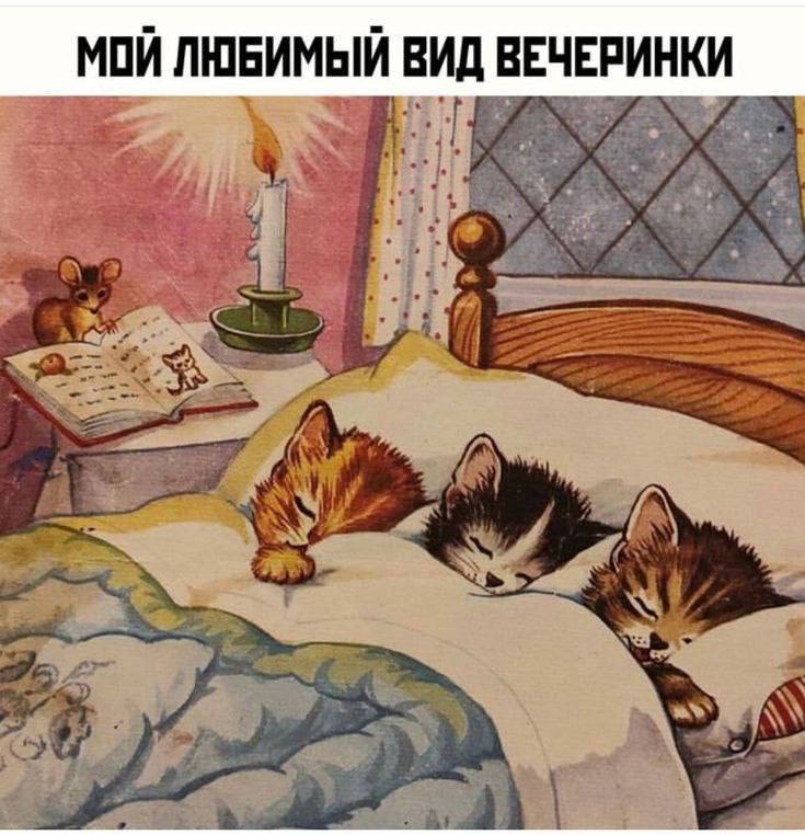 Мем на ночь)