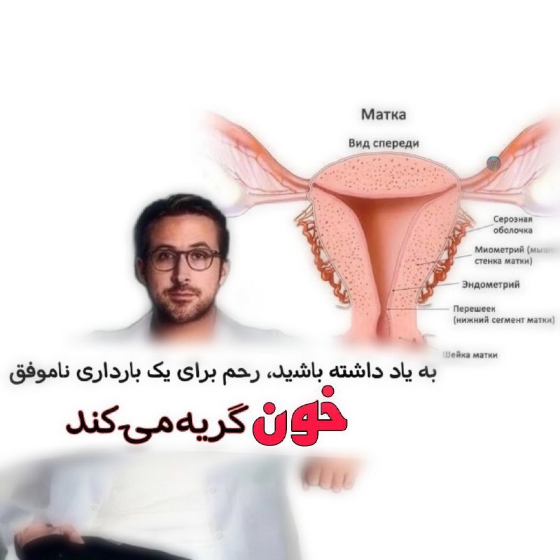 Olympiadlab