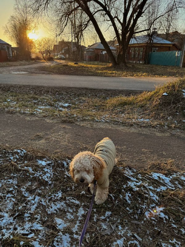 Жизнь после выпуска описания -