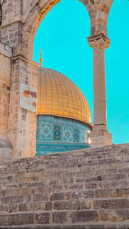 نشأنا على حب فلسطين وقضيتها فهي …