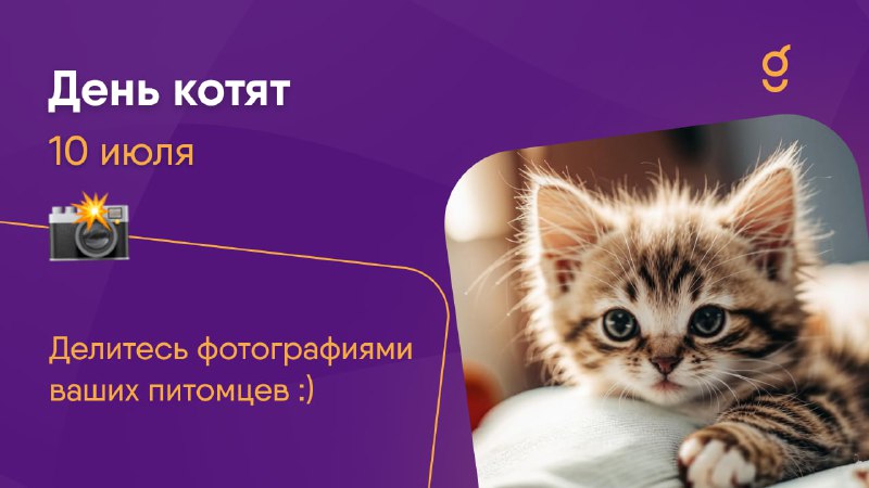 Сегодня день котят ***🐱***