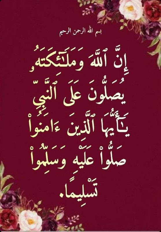 كل يوم فتوى✍