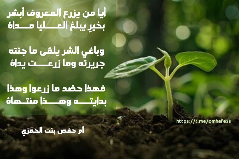 واحة أشعاري