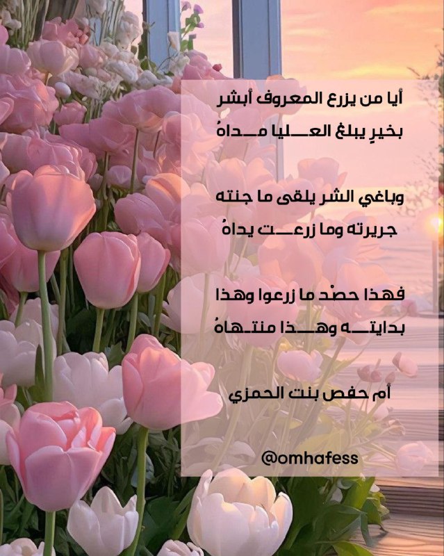واحة أشعاري