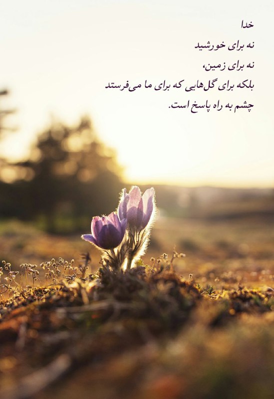 همراهان گرامیِ مهر، سلام