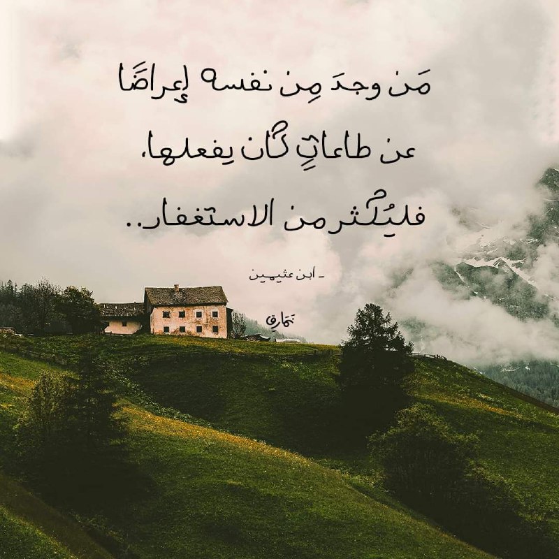 أمنية الشربيني