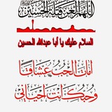 قصيده لوفاة ام البنين ع