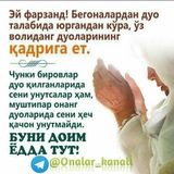 *Оғир бўлса ҳам ҳақиқатни айтаман: бойнинг …