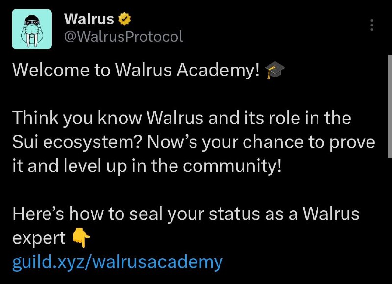 Join Walrus Protocol Guild