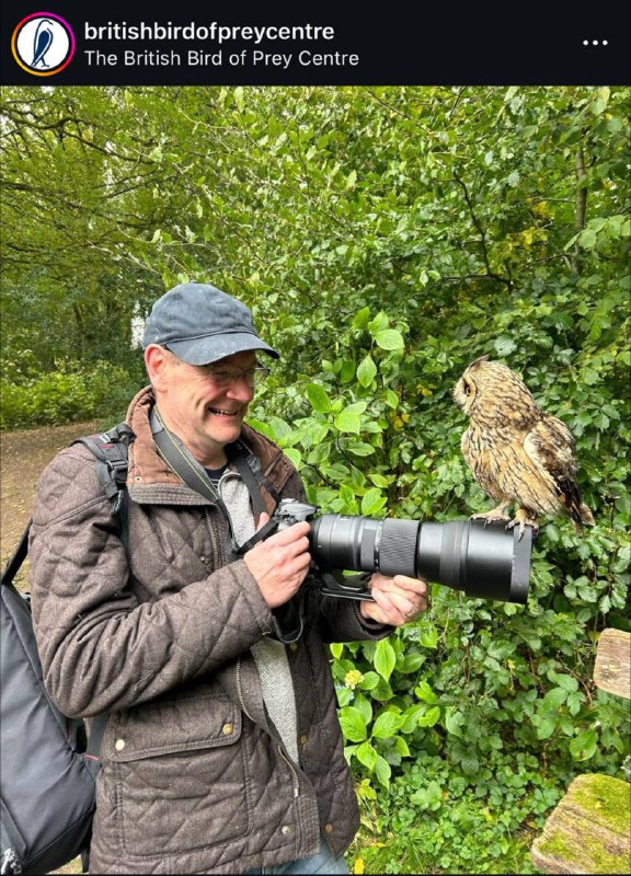 All owls, all the time