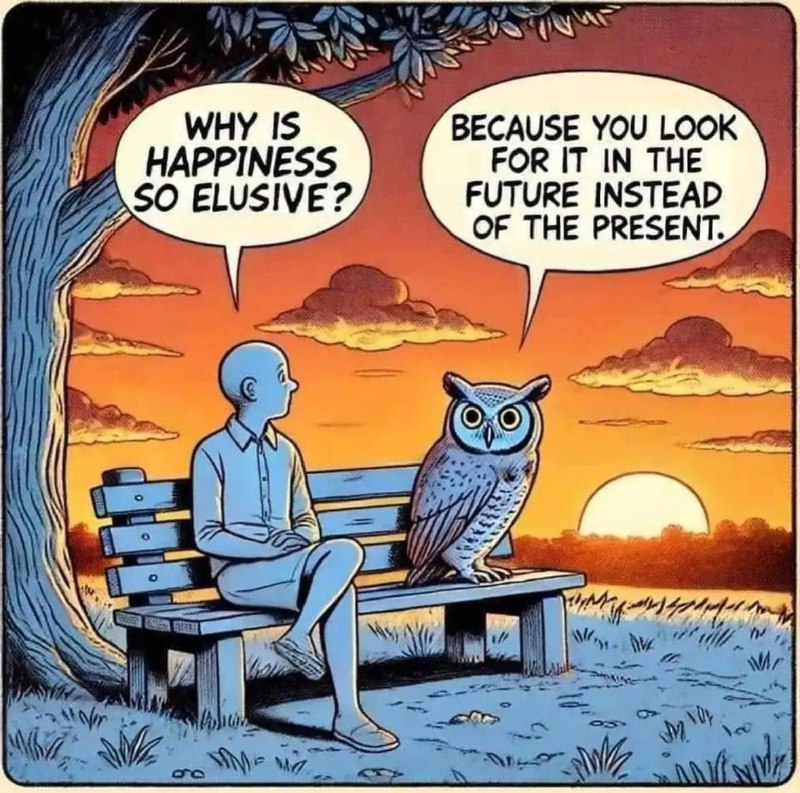 All owls, all the time