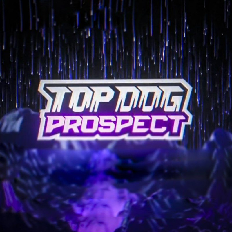 ***❗️***Завершился TOPDOG: PROSPECT 19, как вам …