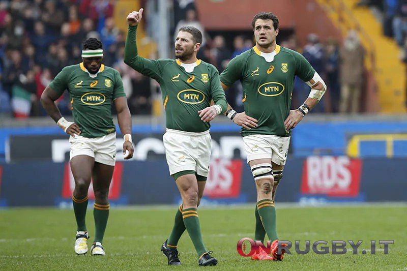 Gli Springboks contengono l’intraprendenza dei Dark …