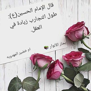 قناه قرابين الطف
