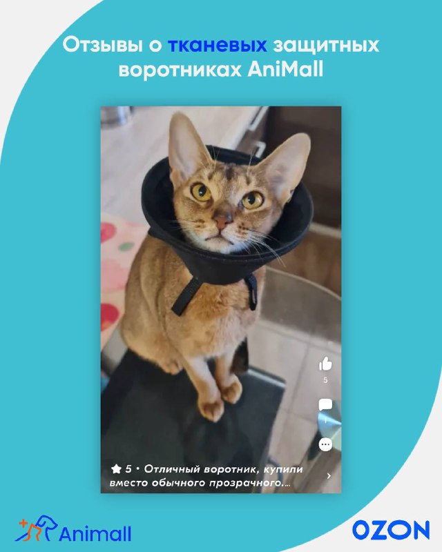 AniMall