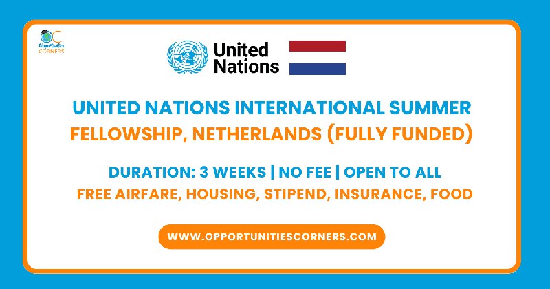 United Nations Summer Fellowship 2025 in …