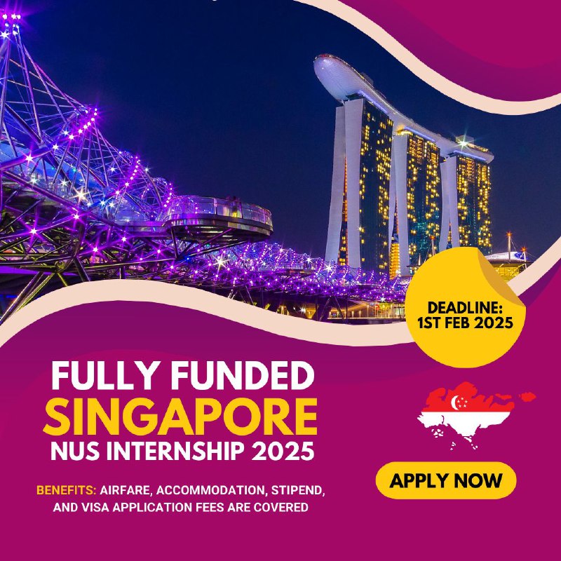 National University of Singapore Summer Internship …