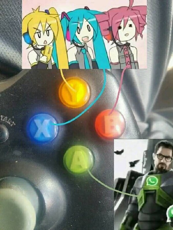 hahoi 🧌