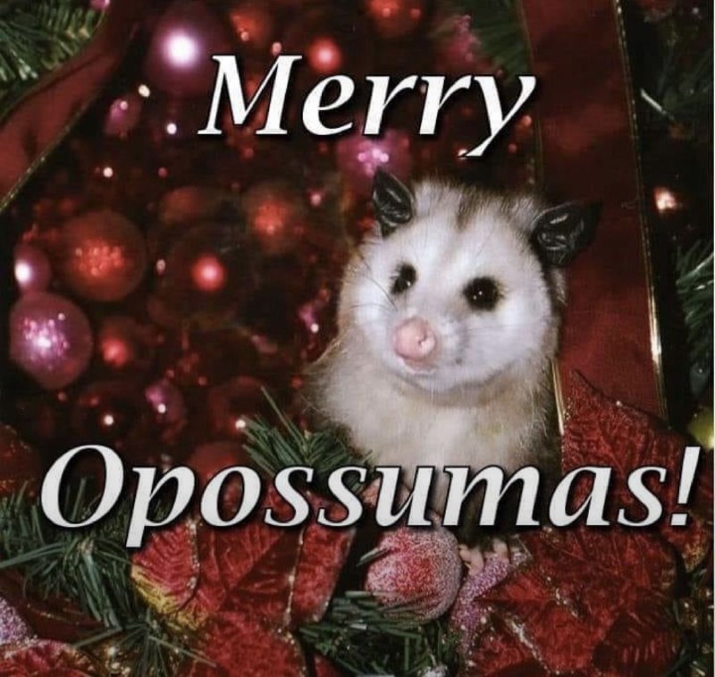 Opossum screamo