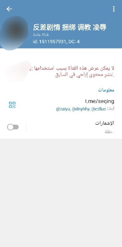 جيش السلاطين