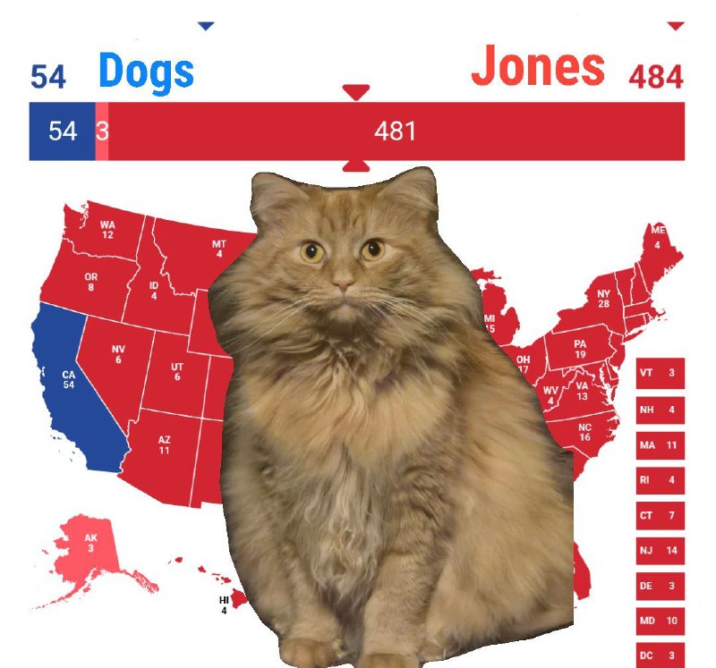 LEAKED ELECTION RESULTS 100% REAL I …