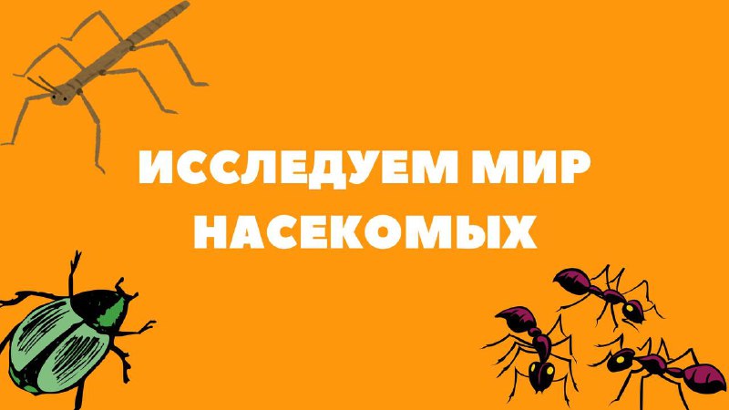 **ЗООЛОГИЯ С РОМАНОМ БОРИСОВИЧЕМ СОЛОВЬЁВЫМ***🦟*****