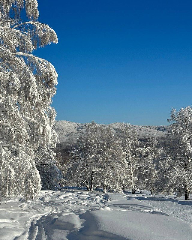 Доброе утро!