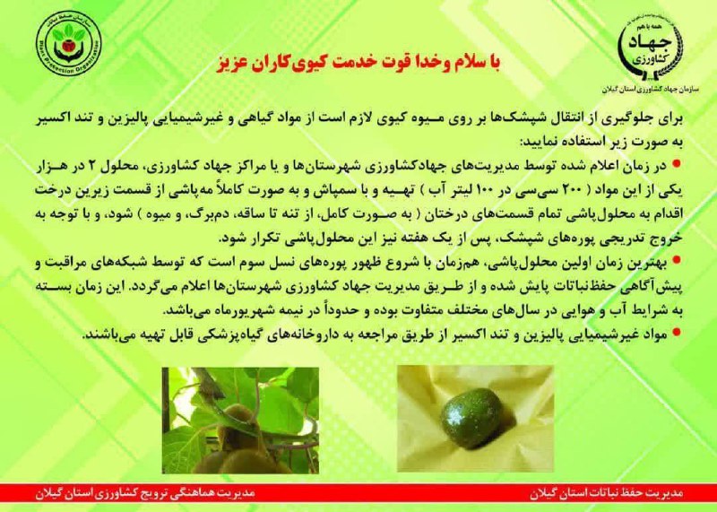 داروخانه گیاهپزشکی ارگانیک
