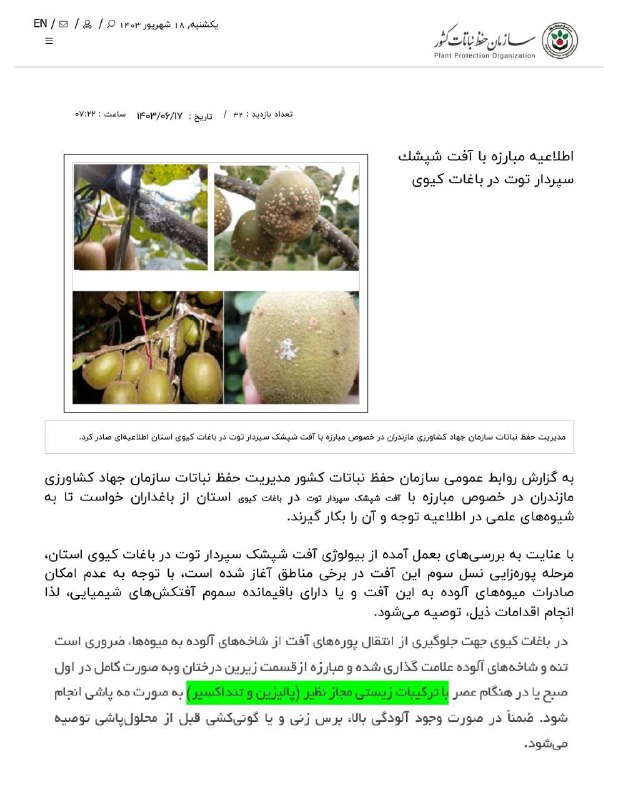 داروخانه گیاهپزشکی ارگانیک