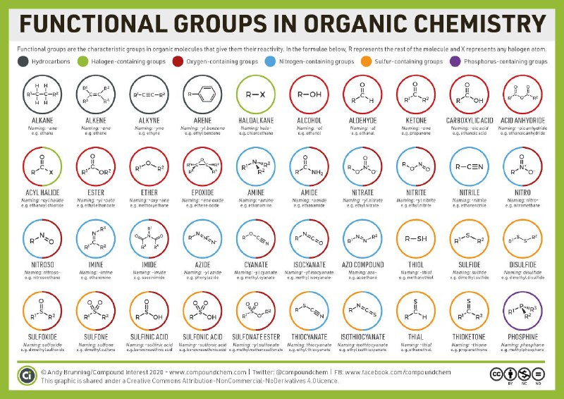 Pharmaceutical chemistry