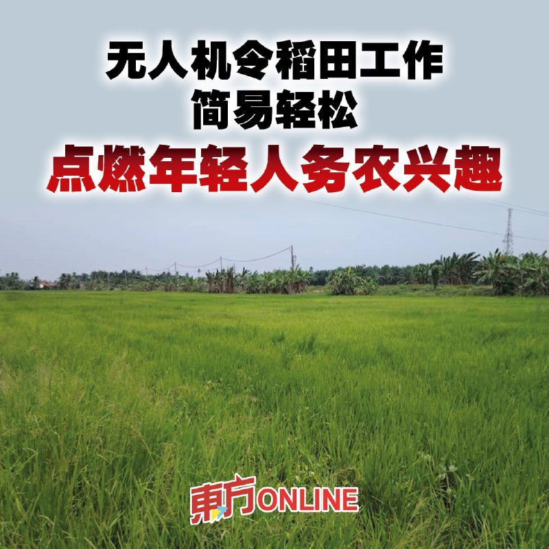 无人机令稻田工作简易轻松 点燃年轻人务农兴趣