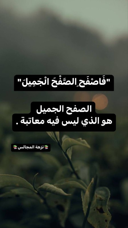 أسامة عرفات