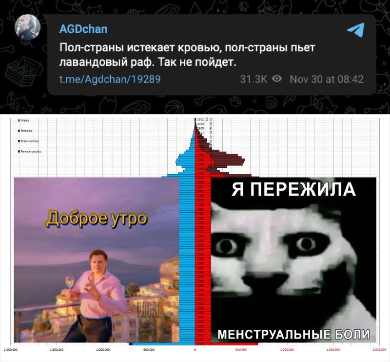 Домик на дереве