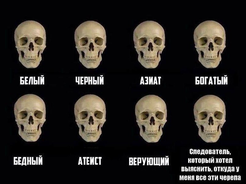 Домик на дереве