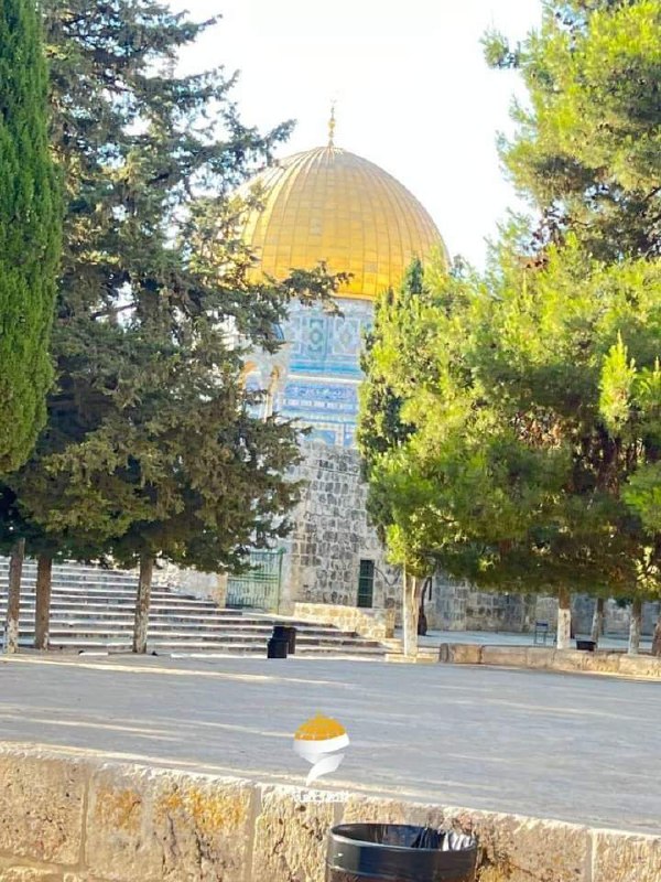 فريق عشاق الأقصى💚