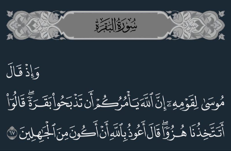 قال أعوذ بالله أن أكون من …
