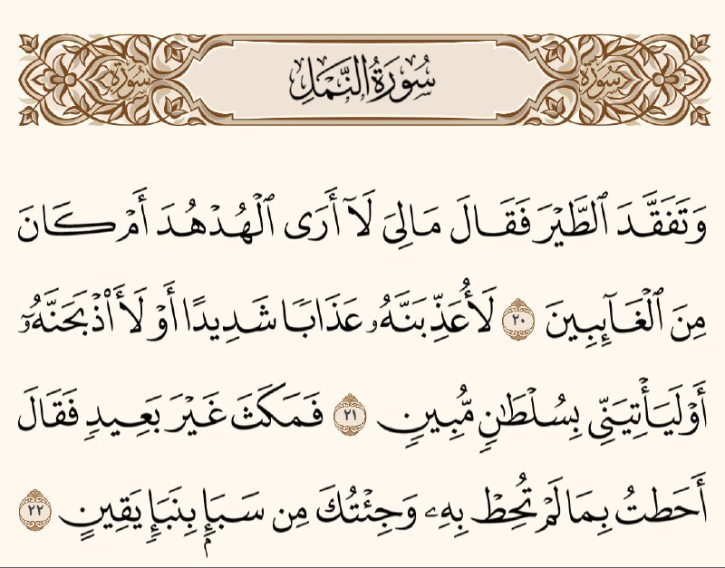 أصحاب المبادرات والإبداع قد يزعجون القيادة …