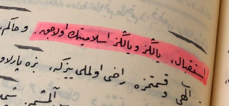 “İstikbâl, yalnız ve yalnız İslamiyetin olacak.”