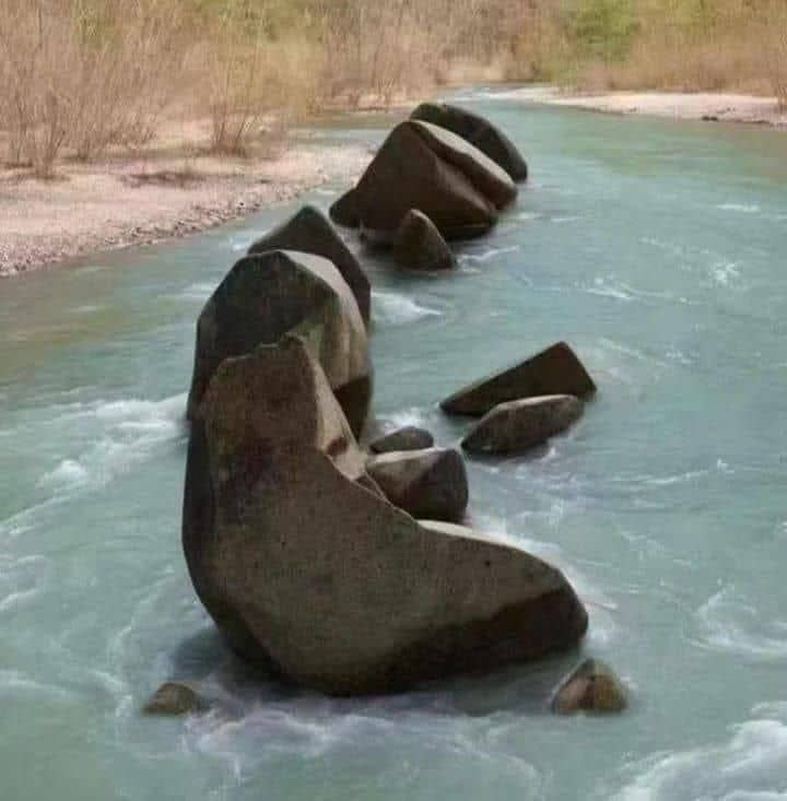 تیکه کتاب